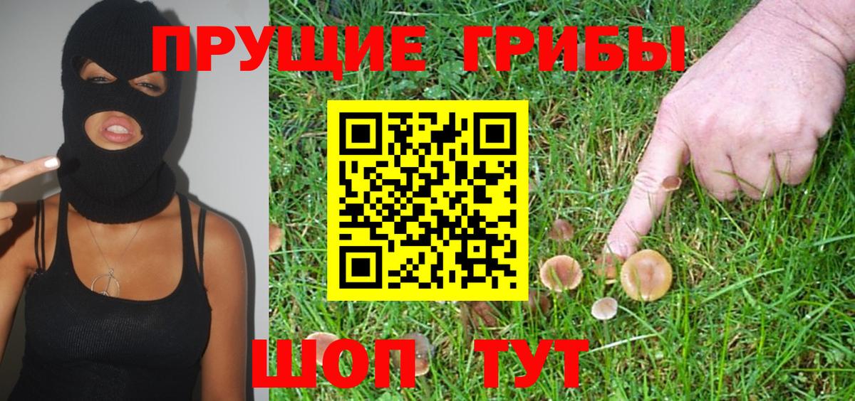 Псилоцибиновые грибы Magic Shrooms  Вход с VPN  закладка  Добрянка 